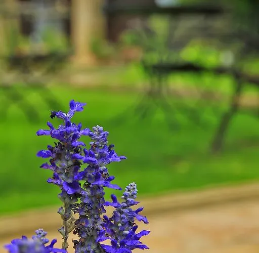 Hotell El Convent 1613 La Fresneda